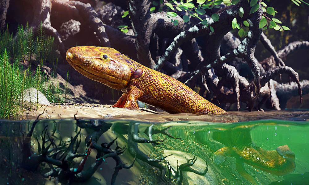 Ilustração do Tiktaalik